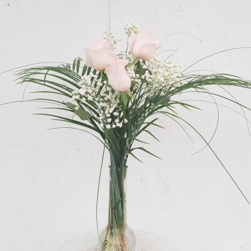 Three_Roses_Pink_Full
