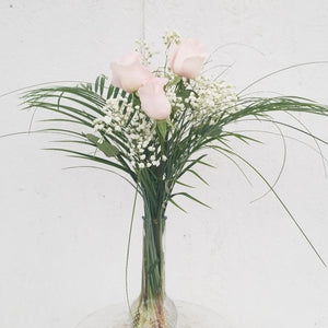 Three_Roses_Pink_Full