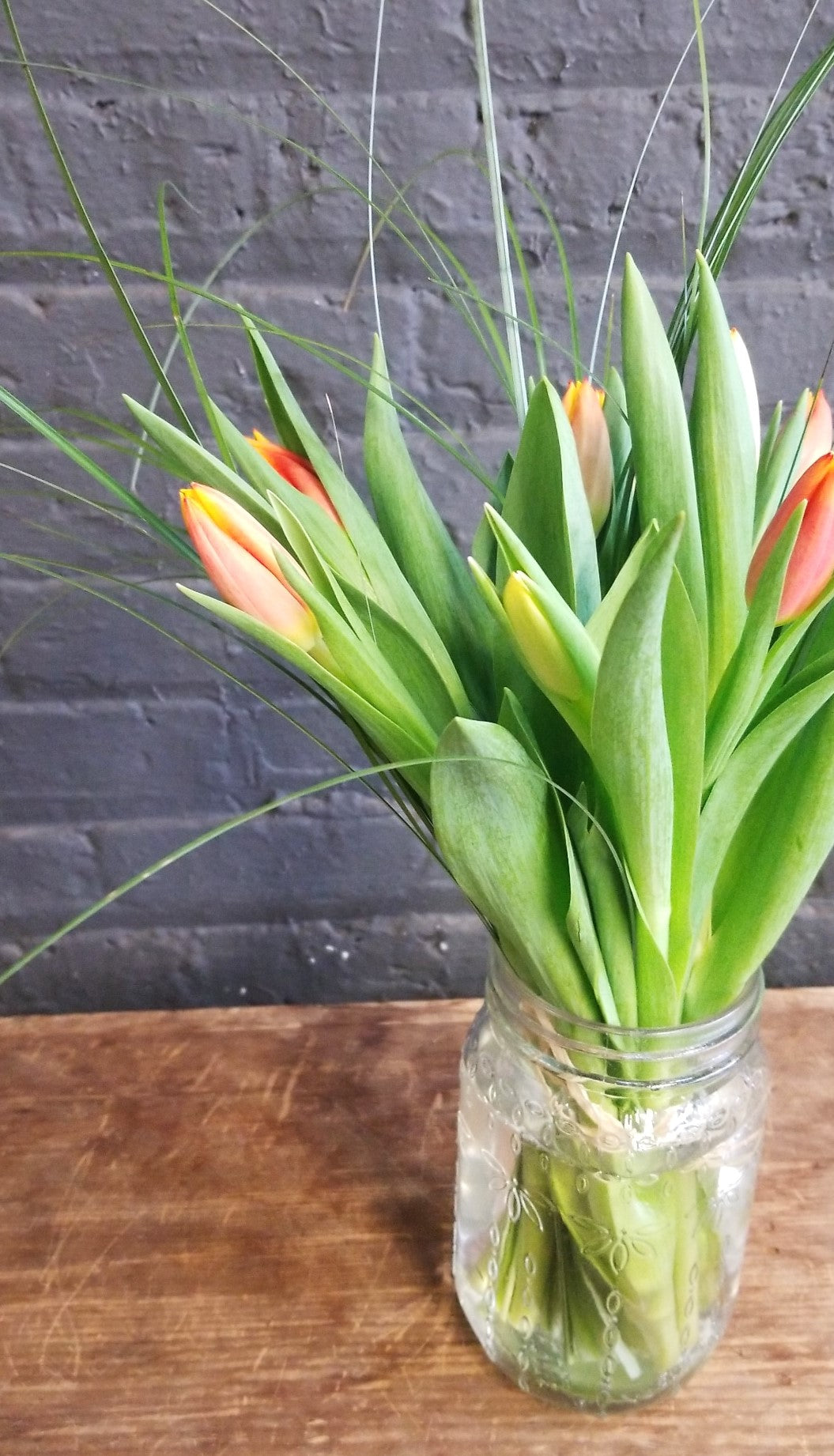 Fröhlicher Frühling!